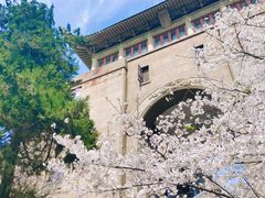 -武汉大学-樱园