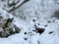 -秦岭风景区