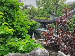 -同得兴 Since·1995 传统苏式面馆(嘉馀坊店)