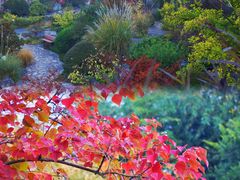 -上海吴淞炮台湾国家湿地公园