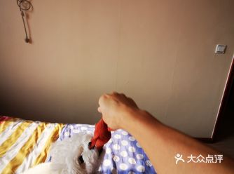 在家闲的没事，只能逗逗家里的小可爱了，这个小玩具是它