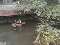 -大妙火锅·非物质文化遗产(东湖公园店)