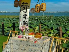 -七的湖·晚芳亭·阳澄湖农家菜·大闸蟹(莲花岛店)