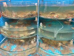 -蓝珊甄选海鲜自助·火锅大排档(近阿那亚店)