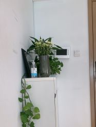 -HEYAN长风荷妍专业脱毛美肤
