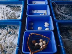 -旗鱼海番村(Orang Asli)