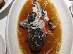 清蒸石斑-金春禧(贵和领秀城店)