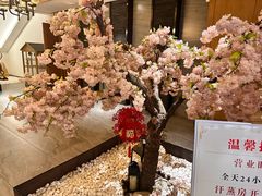 -乐汤汇温泉生活馆(海港区店)
