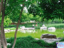 iphone_upload_pic-大望京儿童游乐场