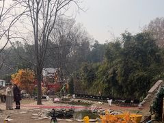 -HERRE·FARM 赫尔露营农场·团建聚会包场