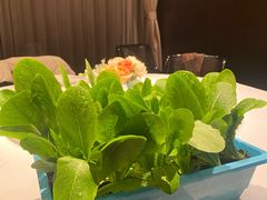 -真爱中国餐馆·年华店(朱雀大街店)