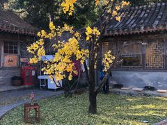 -潭柘寺景区