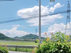 -李东农庄(中南百草园地标店)