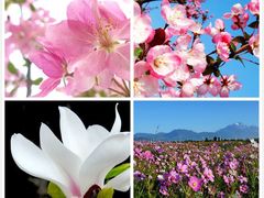 -白沙门生态公园