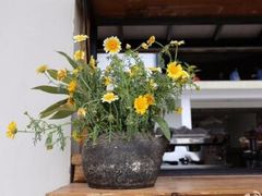 -翠田Green Field Kitchen