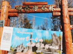 -峡谷浮石林景区