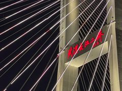 -武汉知音号