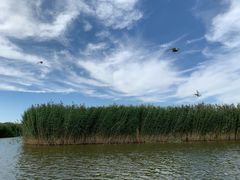 -乌梁素海景区