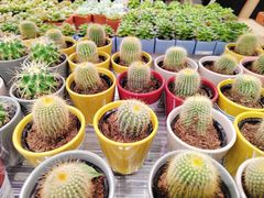 -鹿岛生活(熙地港店)