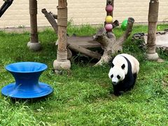 -石家庄市动物园