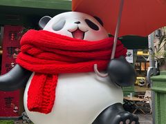 -轩客会(熊猫书店)