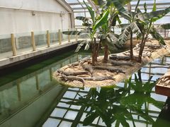 -石家庄市动物园