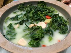 上汤桑叶-拾贰季喜宴(百利达广场店)