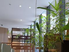 -龙猫意杯花园餐厅(芙蓉湖店)
