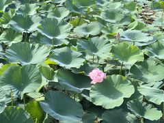 -黛秀湖公园