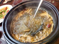 -滇野云南野生菌餐厅(陕西南路店)