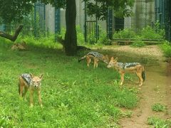 -大连森林动物园