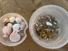 -那香海钻石沙滩浴场