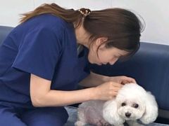 -派美特宠物医院·核磁CT·骨科肿瘤·疑难转诊(沈农禾丰店)