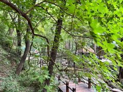 -香山公园
