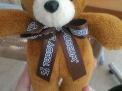 -济州岛泰迪熊博物馆