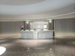 -广州美莱医疗美容医院