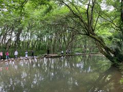 -西溪南古村落