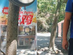 -勇士之星真人CS·团建·拓展(清水河公园店)