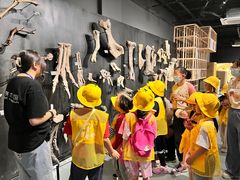 -飞童凡响艺术学校(松江区九里亭校区)