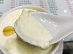 莲子双皮奶-义顺牛奶公司(新马路老店)