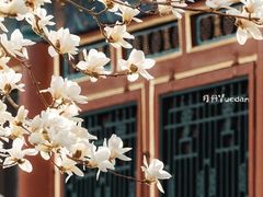 -颐和园