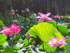 -北京奥林匹克公园