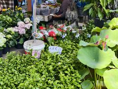 -苏州市皮市街花鸟工艺品市场