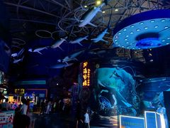 -烟台海昌鲸鲨海洋公园