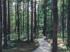 -长春市南湖公园