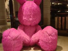 -上海东方佘山翰悦阁酒店·Vie全日制餐厅