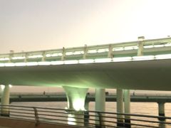 -演武大桥观景平台