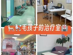 -北京观赏动物医院·24小时大型综合·猫专科·异宠专科