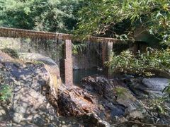 -东莞市大岭山森林公园