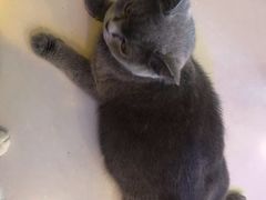 -平行世界·猫咖(首经贸店)